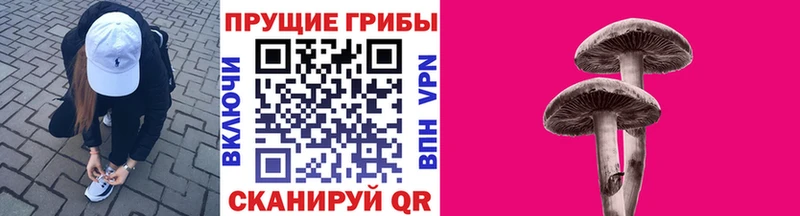 хочу наркоту  darknet состав  Псилоцибиновые грибы прущие грибы  Чебоксары  OMG ТОР 